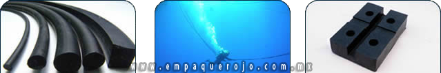 industria naviera GRUPO EVEREST